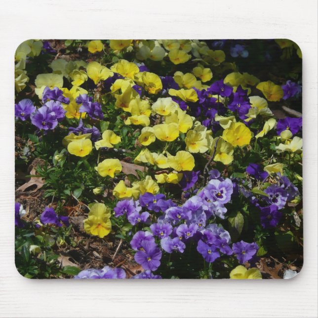 Tapis De Souris Coteau de panneaux violets et jaunes (Devant)