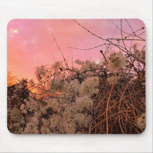 Tapis De Souris Coucher De Soleil D'Hiver À Mousepad Et Vins De Cl