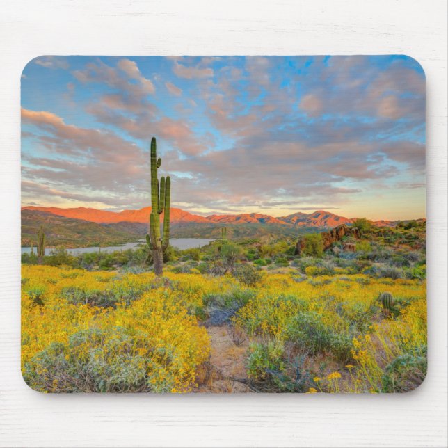 Tapis De Souris Coucher du soleil sur le paysage désertique (Devant)