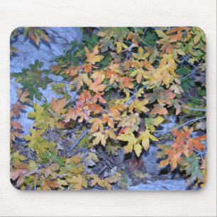 Tapis De Souris Couleurs 1 de chute