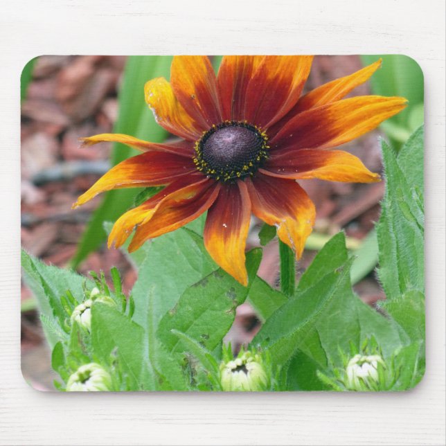 Tapis De Souris Couleurs d'automne (Devant)