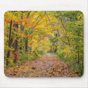 Tapis De Souris Couleurs d'automne au Independence State Park