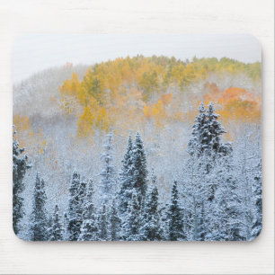 Tapis De Souris Couleurs d'automne des trembles et neige fraîche K
