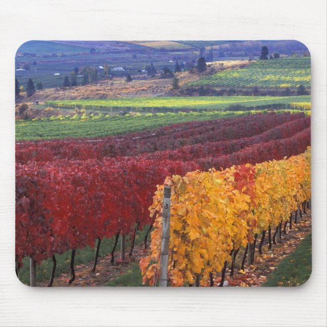 Tapis De Souris Couleurs d'automne rouges et jaunes intenses sur G (Devant)