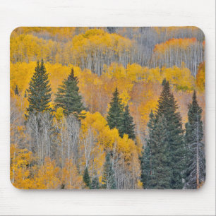 Tapis De Souris Couleurs d'automne sur les bosquets de trembles