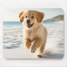 Coup de chiot du Labrador mignon sur la plage