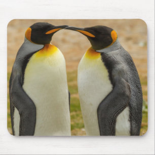 Tapis De Souris Couple de manchots royaux, Falklands