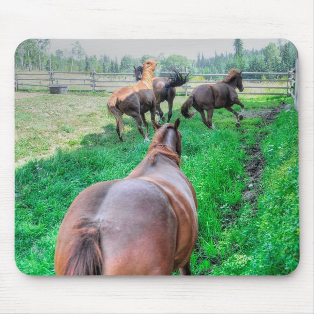 Tapis De Souris Courir Pinto Peinture Gelding & Stallions châtaign (Devant)
