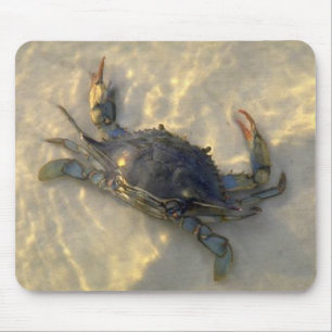 Tapis De Souris Crabe bleu