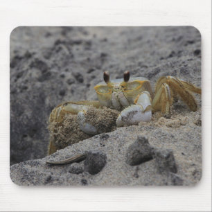 Tapis De Souris Crabe, Crustacé, Sable