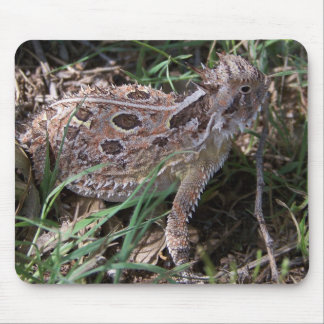 Tapis De Souris crapaud à cornes
