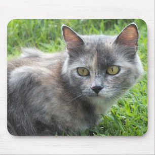 Tapis De Souris Crème Bleue - Tortie Kitty Pad