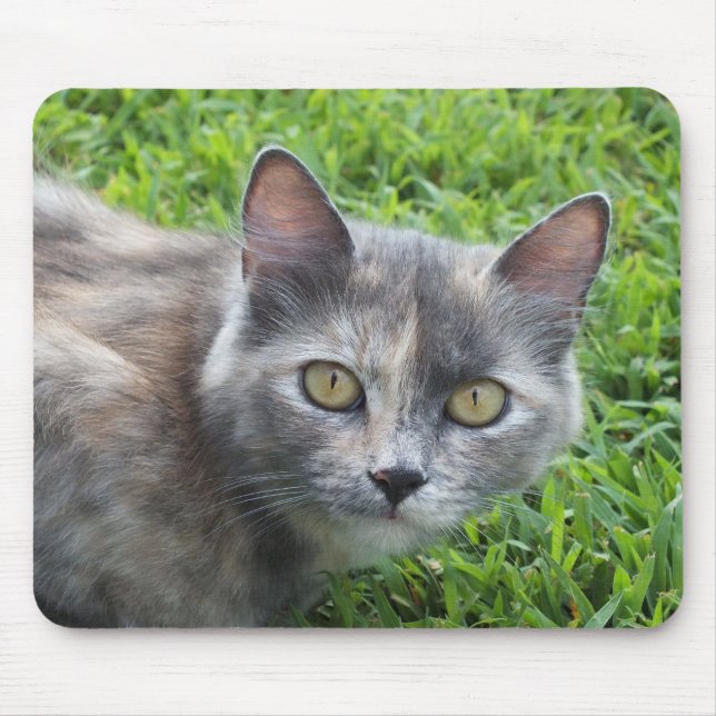 Tapis De Souris Crème Bleue - Tortie Kitty Pad (Devant)