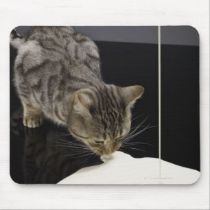 Tapis De Souris Crème de chat tabby argenté du sol