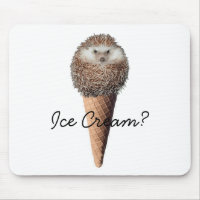 Crème glacée de hérisson