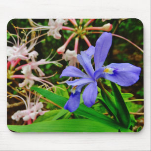 Tapis De Souris Crested Dwarf Iris