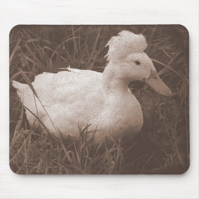 Tapis De Souris Crestie the Crested Duck (Devant)