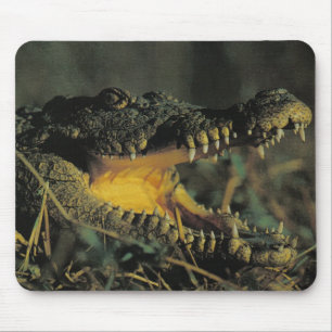Tapis De Souris Croc affamé