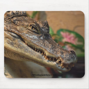 Tapis De Souris Crocodile