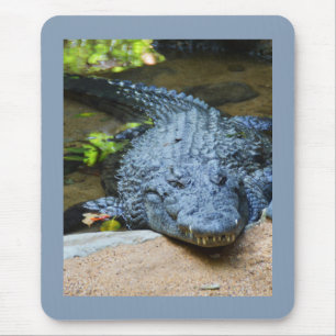 Tapis De Souris Crocodile