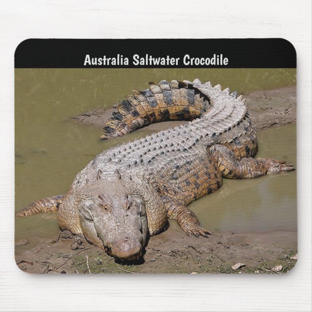 Tapis De Souris Crocodile d'eau de mer de l'Australie (Devant)