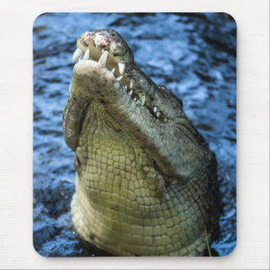 Tapis De Souris Crocodile Dents Eau