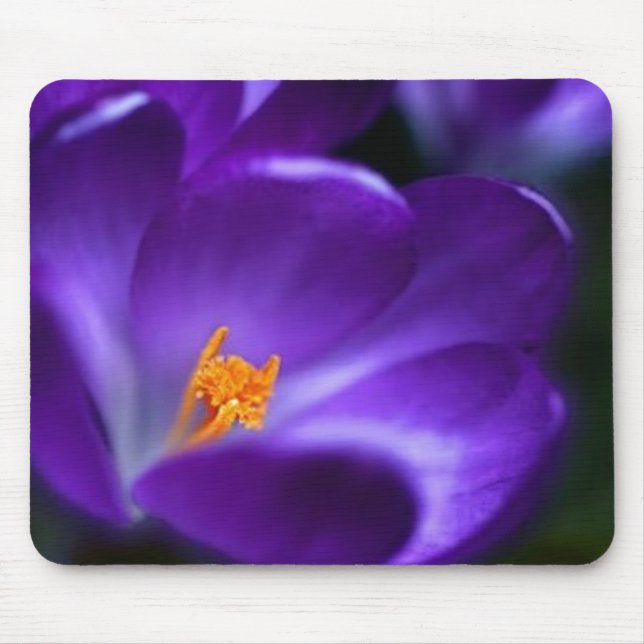 Tapis De Souris crocus (Devant)