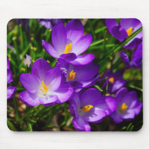 Tapis De Souris Crocus Lilac