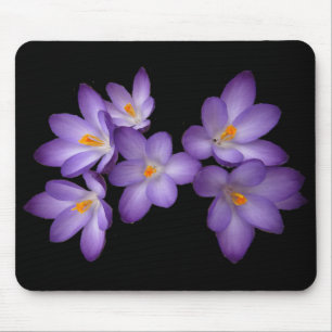 Tapis De Souris Crocus pourpre