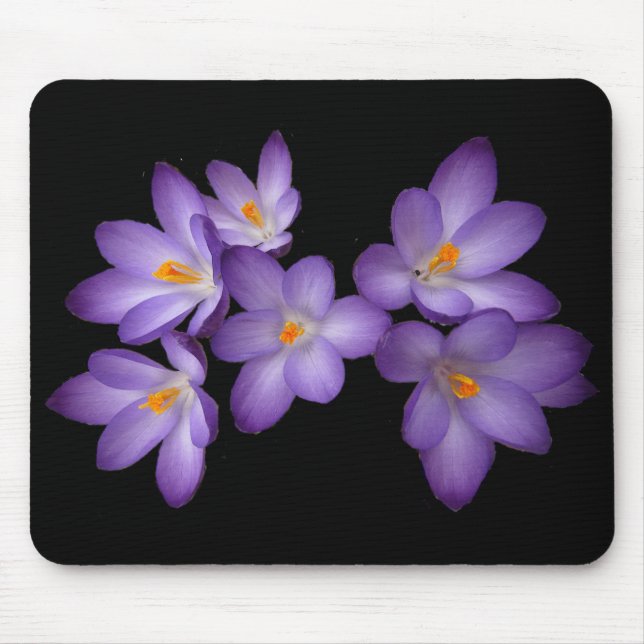 Tapis De Souris Crocus pourpre (Devant)