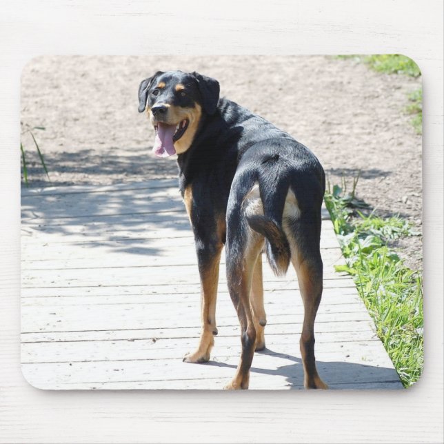 Tapis De Souris Croix de rottweiler et de berger allemand (Devant)