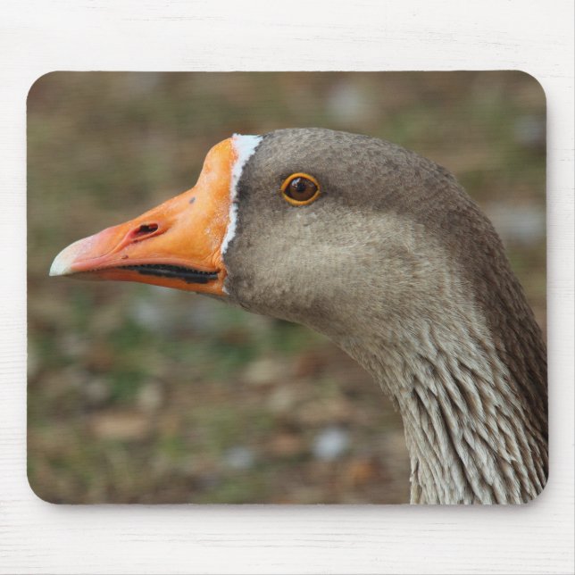 Tapis De Souris Croix du cygne gris (Devant)