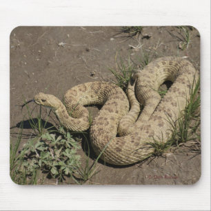 Tapis De Souris Crotale des prairies R6