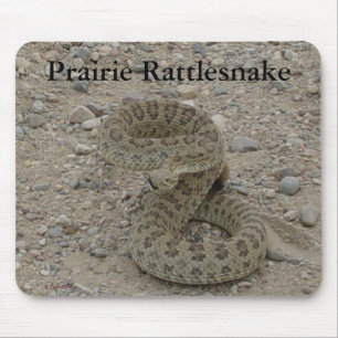 Tapis De Souris Crotale des prairies R9 enroulé