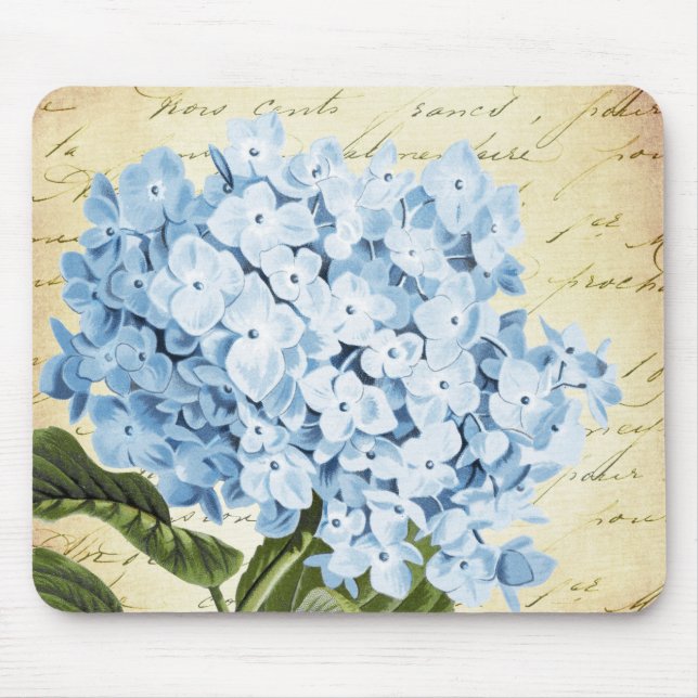 Tapis De Souris Cru bleu de fleur d'hortensia botanique (Devant)