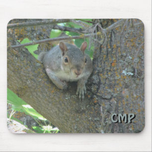 Tapis De Souris Curious Squirrel in Tree with Your Initials