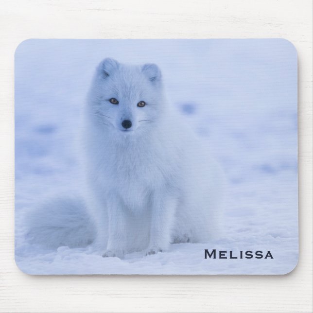 Tapis De Souris Cute Arctic Fox sur Snowy Winter Arrière - plan (Devant)