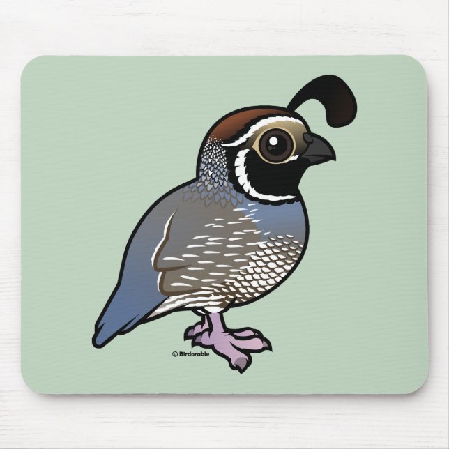 Tapis De Souris Cute California Quail (Devant)