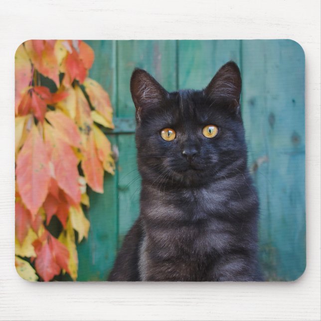 Tapis De Souris Cute chaton noir avec porte bleue Feuille rouge — (Devant)