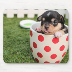 Tapis De Souris Cute Chihuahua Pad de souris Ajouter une photo