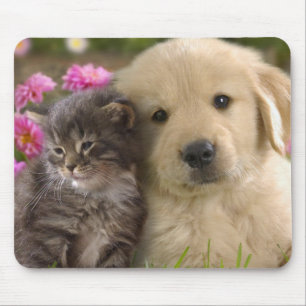 Tapis De Souris Cute Chiot et Kitten