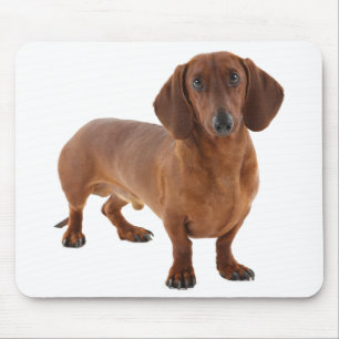 Tapis De Souris Cute Doxin Wiener Chiot Amoureux des chiens Cadeau