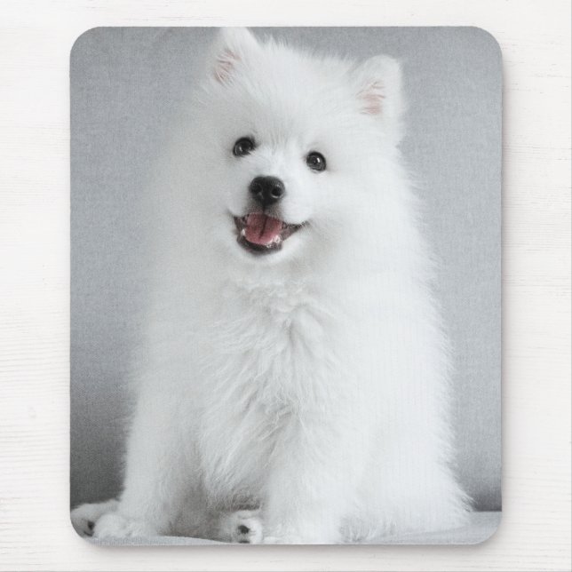 Tapis De Souris Cute Fluffy Japanese Spitz Puppy (Devant)