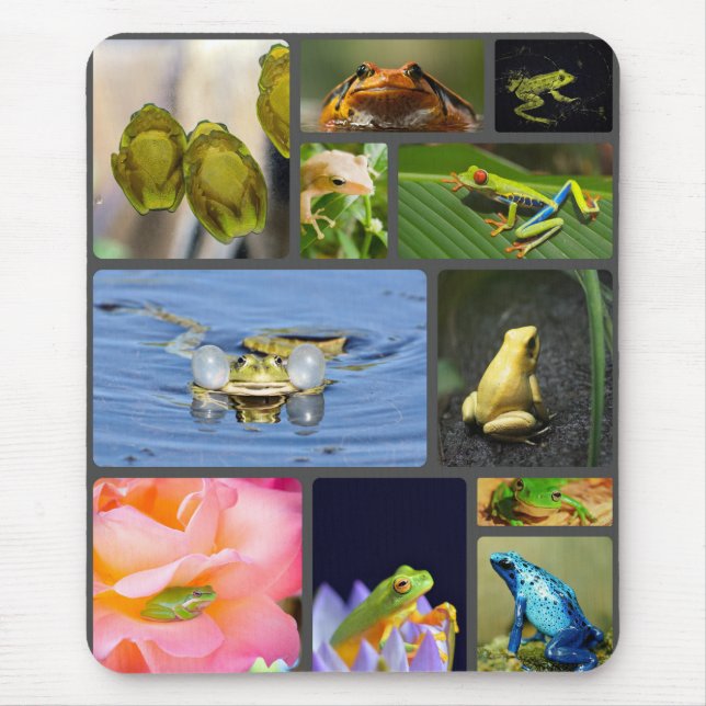 Tapis De Souris Cute, grenouilles colorées Mousepad ! (Devant)