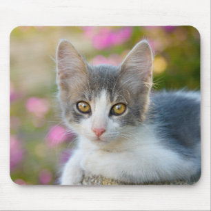 Tapis De Souris Cute Little Bicolor Kitten Fluffy Amoureux de les 