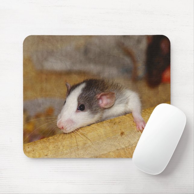 Tapis De Souris Cute rat (Avec souris)