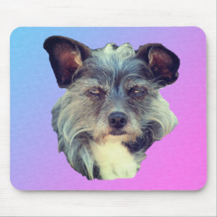 Tapis De Souris Cute Terrier Chien