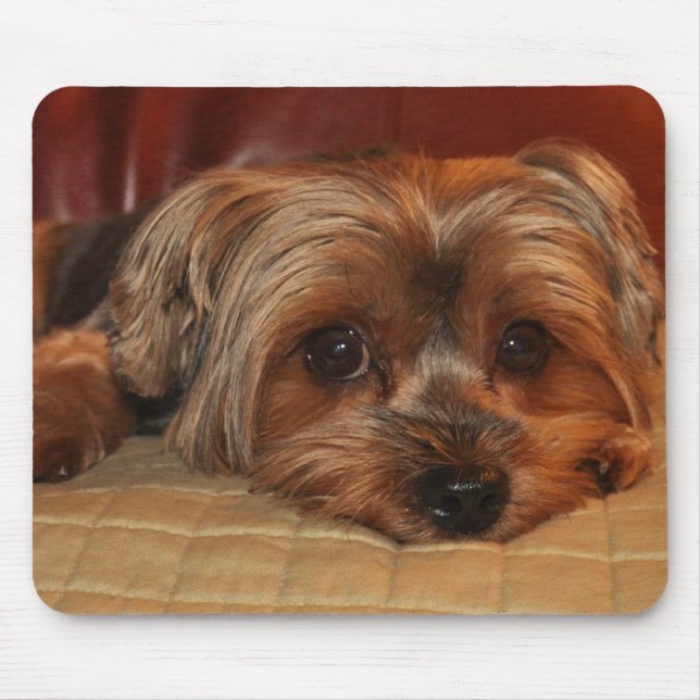 Tapis De Souris Cute Yorkshire Terrier Mousepad (Devant)