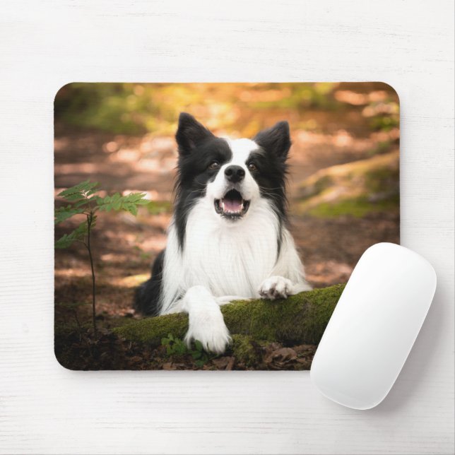 Tapis De Souris Cutest Baby Animals | Black and White Border Colli (Avec souris)