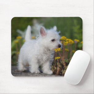Tapis De Souris Cutest Baby Animals West Highland White Terrier